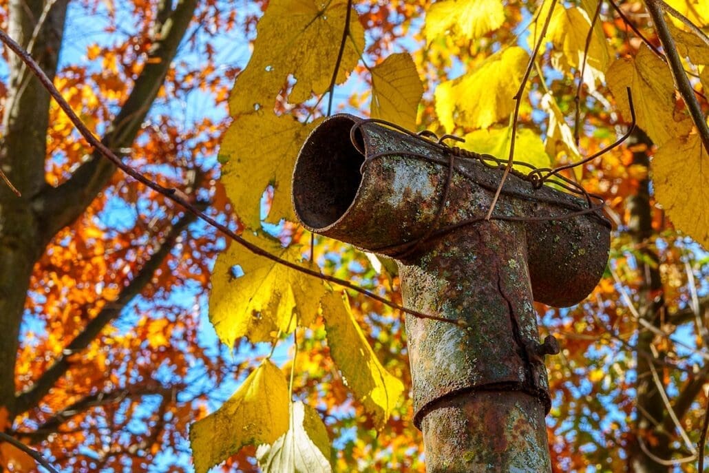 Descente de gouttière avec accumulation de feuilles et débris à nettoyer