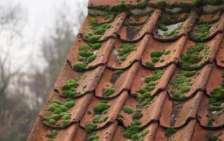 Toit résidentiel avec mousse et algues vertes avant traitement lavage doux